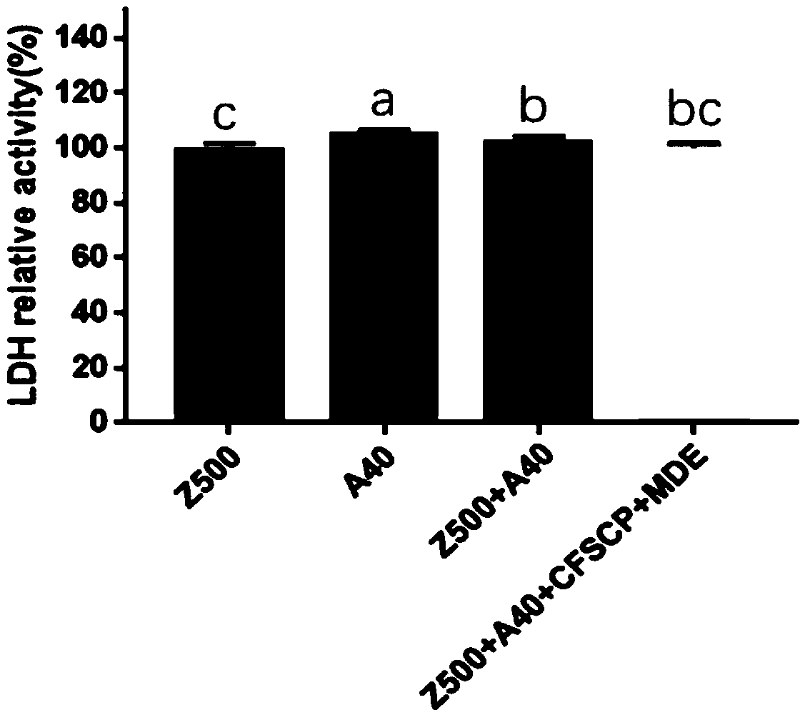 Composite probiotic fermentation composition and application thereof in preparation of preparation for preventing and treating epithelial cell injury caused by mycotoxin