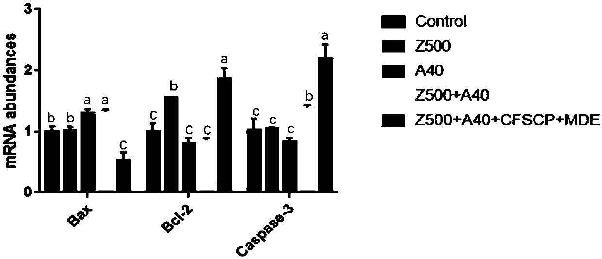 Composite probiotic fermentation composition and application thereof in preparation of preparation for preventing and treating epithelial cell injury caused by mycotoxin