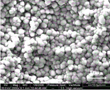 Surface treatment method for magnesium alloy