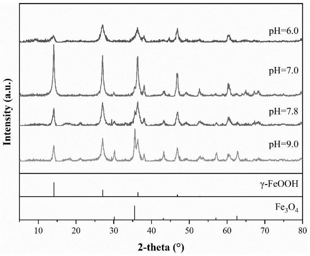 A kind of preparation method of gamma-feooh catalyst