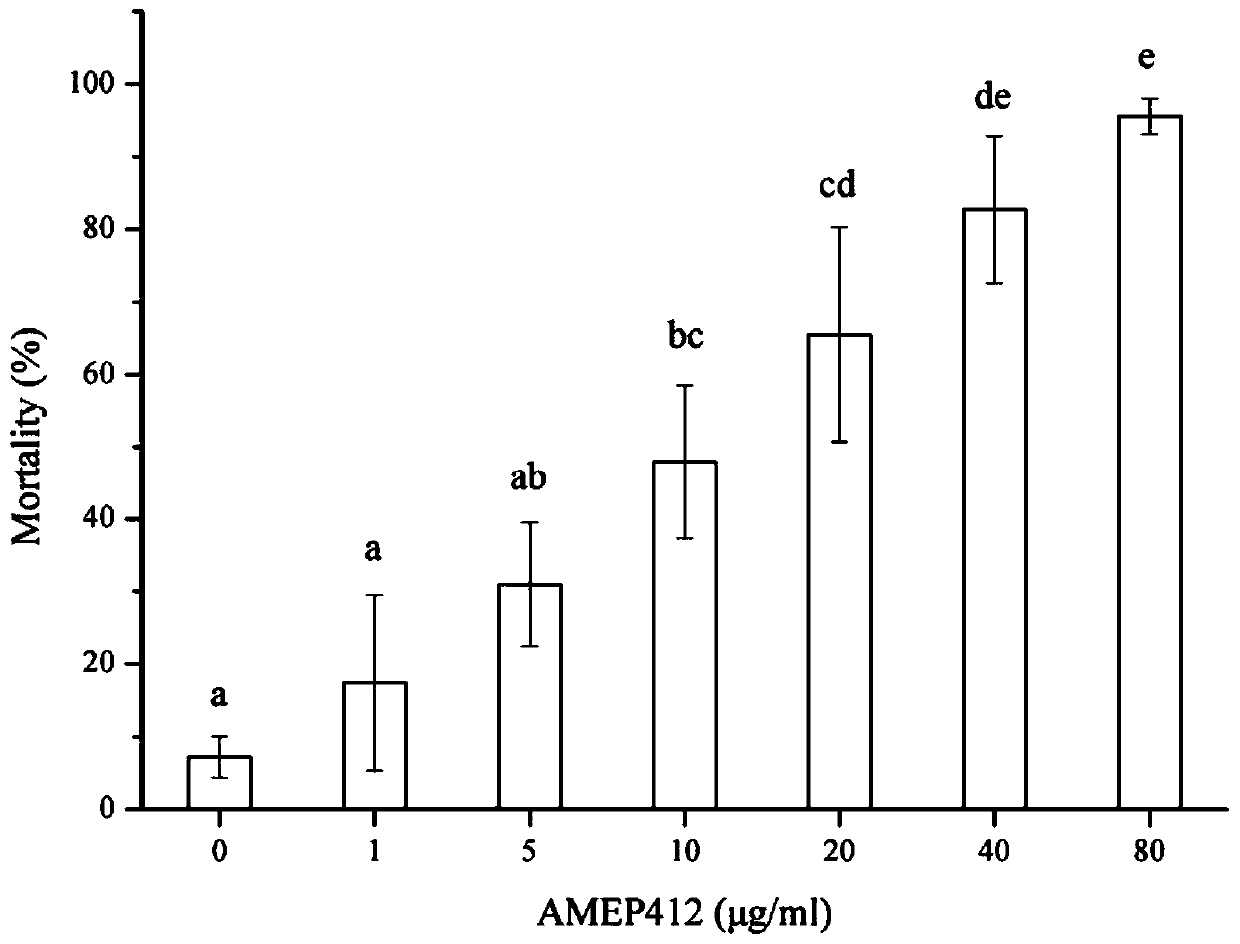 Insecticidal activity of AMEP412 protein on trialeurodes vaporariorum and application of AMEP412 protein in prevention and treatment of trialeurodes vaporariorum