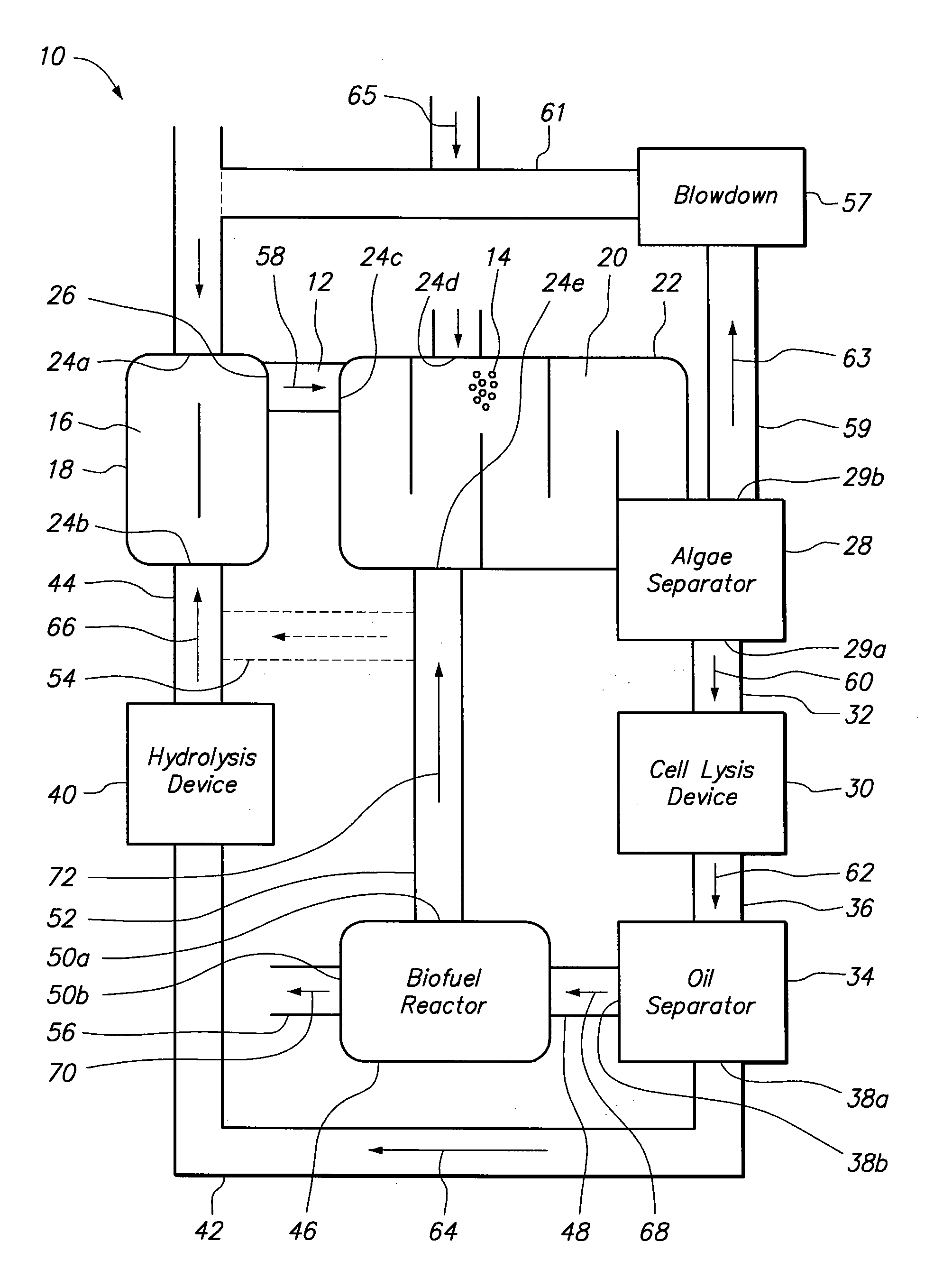 Photosynthetic oil production with high carbon dioxide utilization