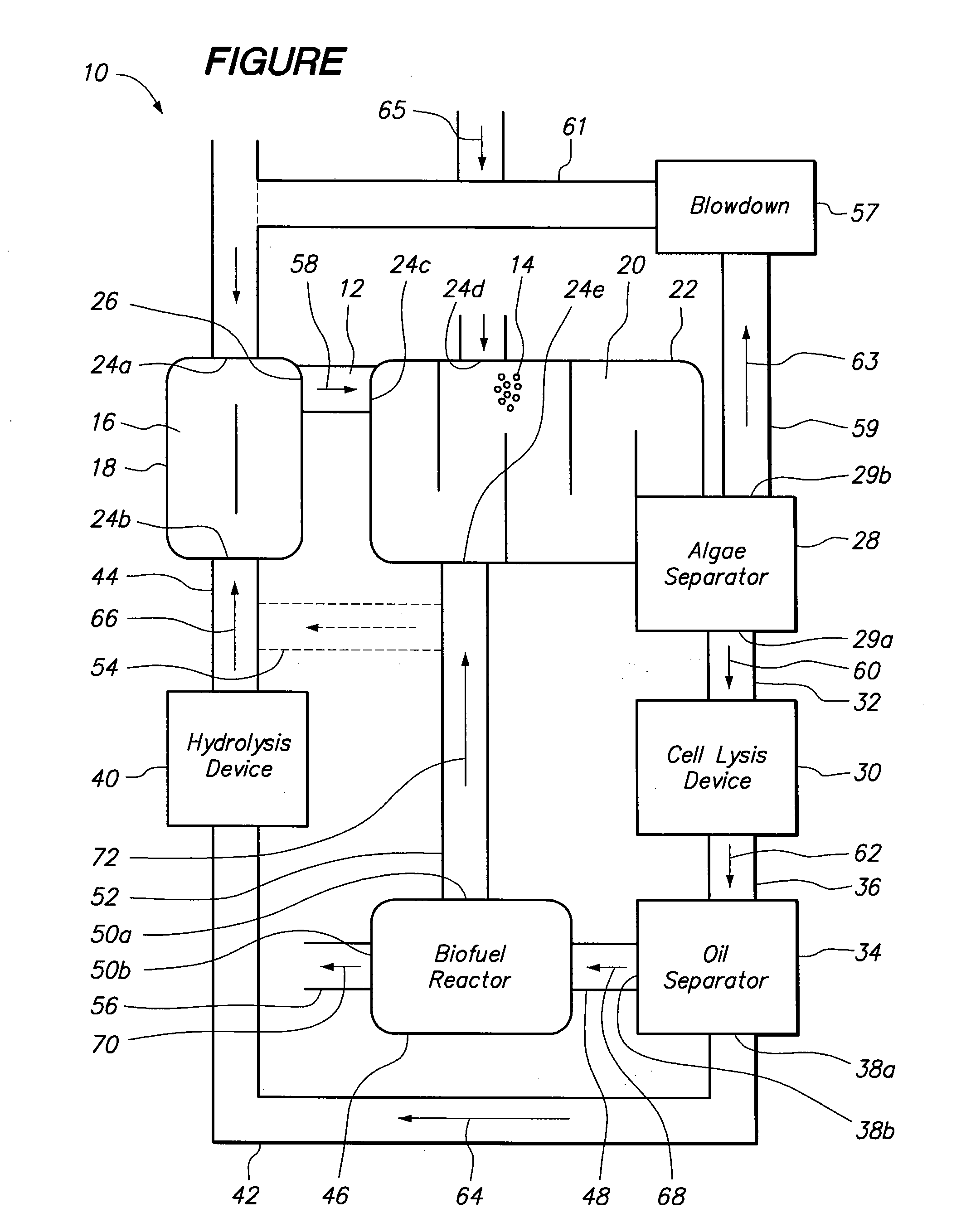 Photosynthetic oil production with high carbon dioxide utilization