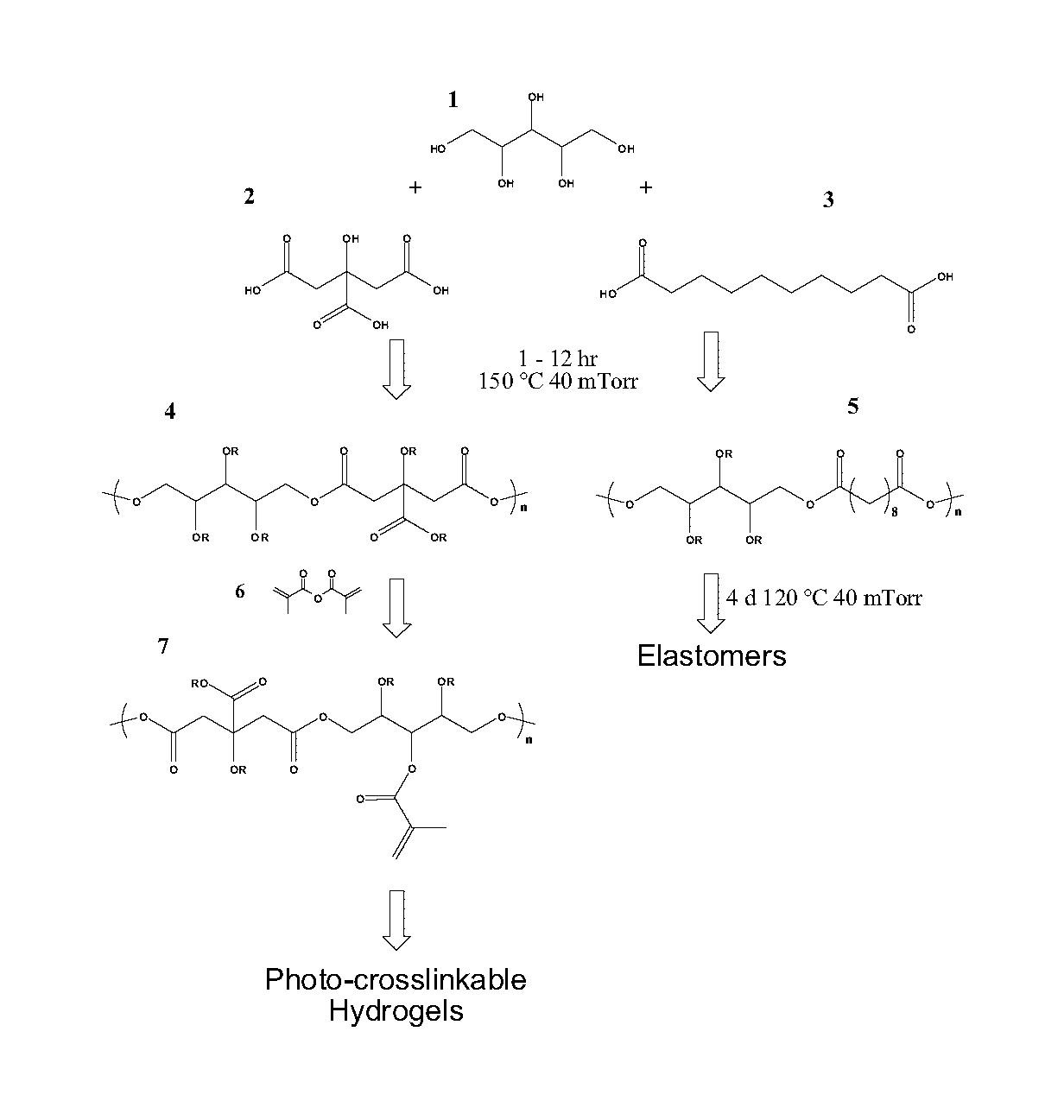 Polyol-based polymers