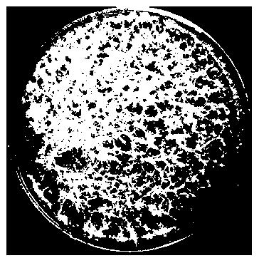 Trichoderma harzianum strain