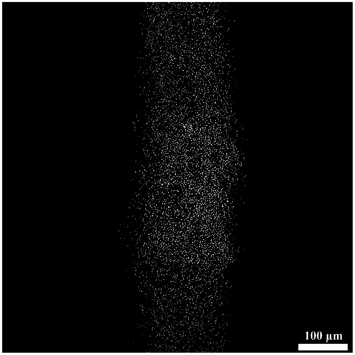 Magnesium oxide ceramic ink for 3D direct writing molding and preparation method thereof