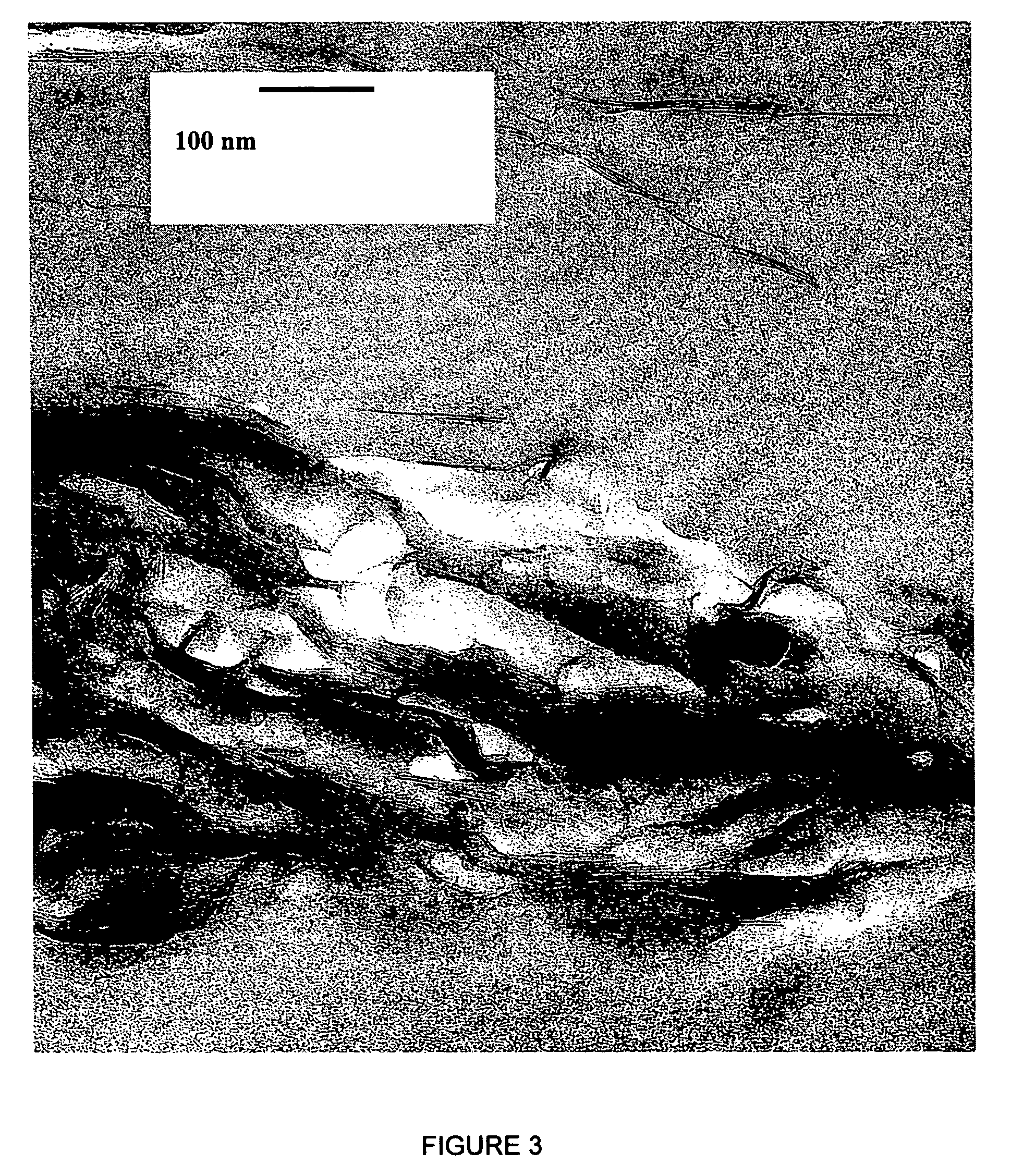 Polymer nanocomposite foams