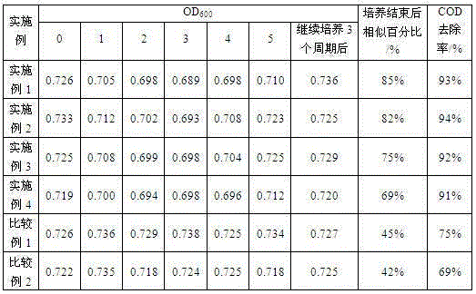 Opening type culture method and applications of Paracoccus FSTB-2