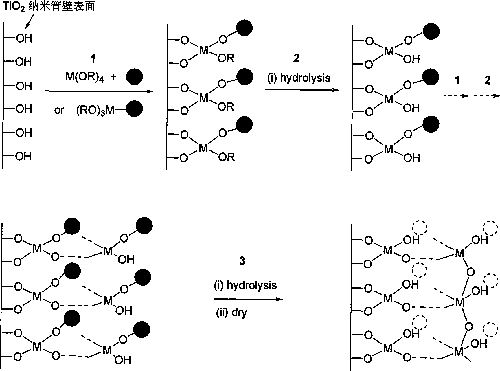 TiO2 nanotube with molecular imprinting functionalization