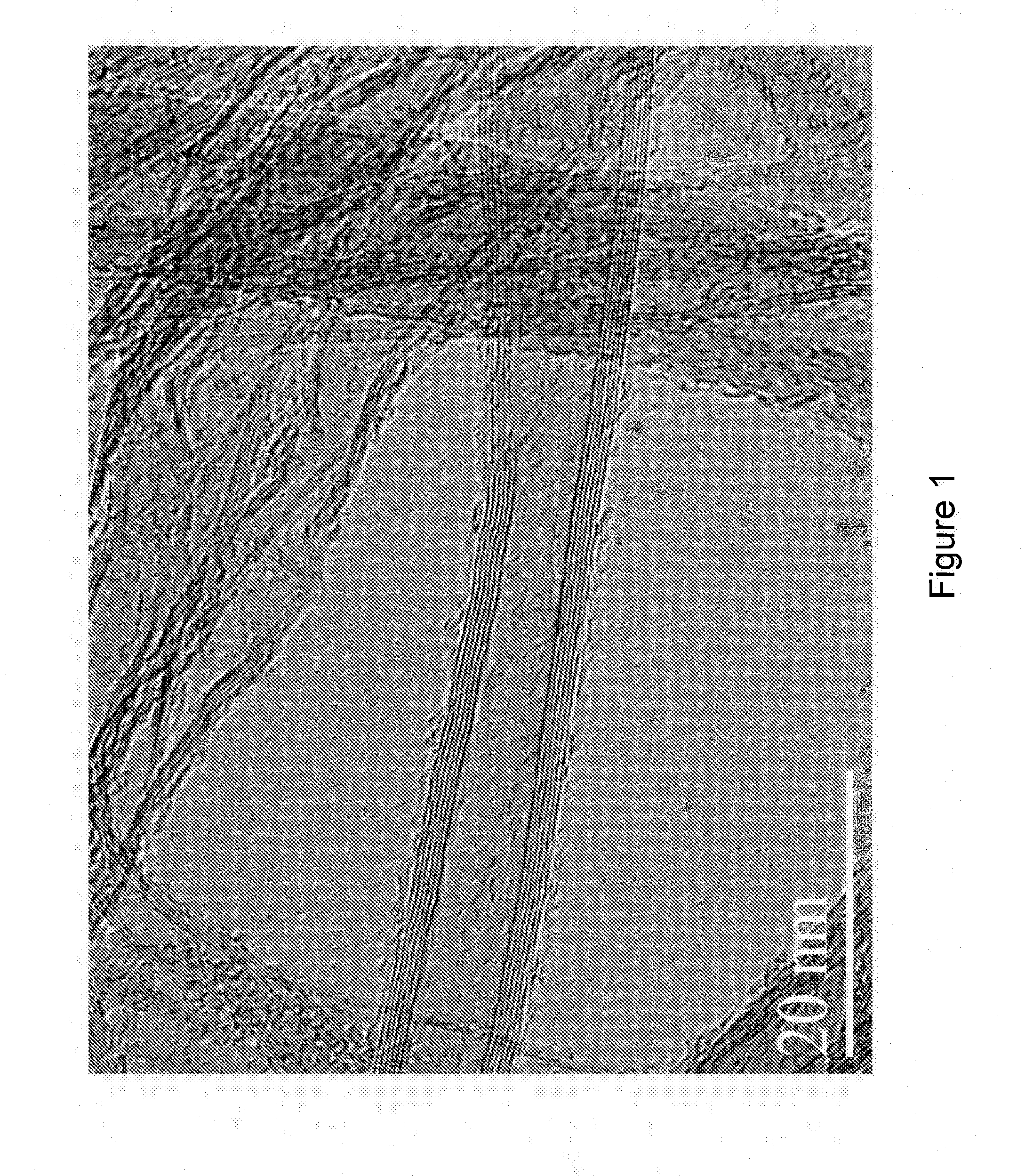 Cnt-based signature control material