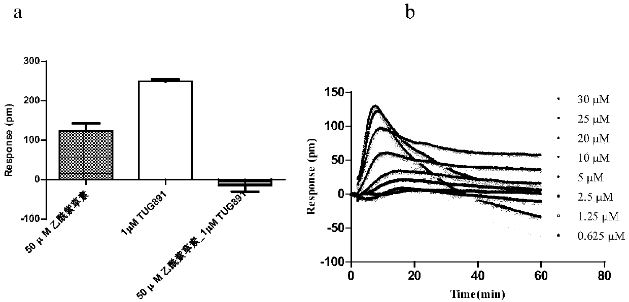 Naturally derived FFA4 (GPR120) receptor agonist and application thereof