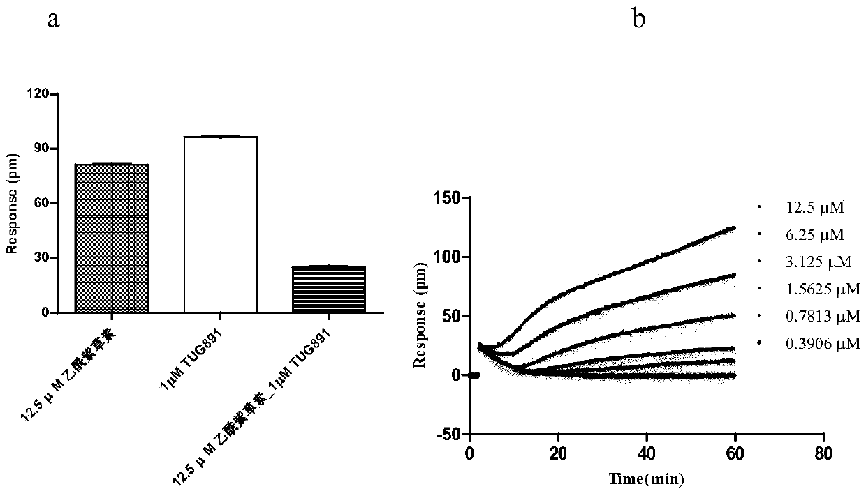 Naturally derived FFA4 (GPR120) receptor agonist and application thereof