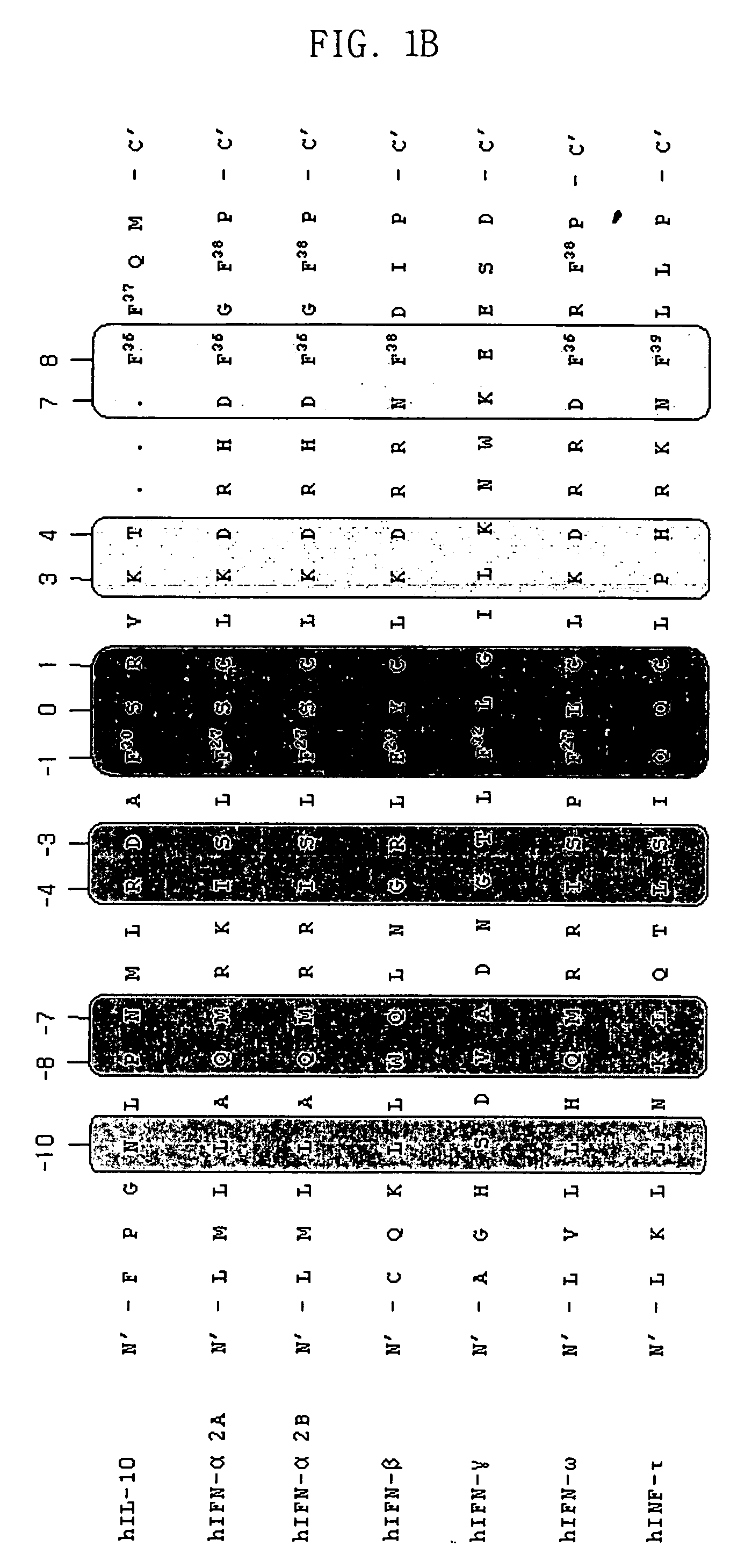 Method of improving efficacy of biological response-modifying proteins and the exemplary muteins