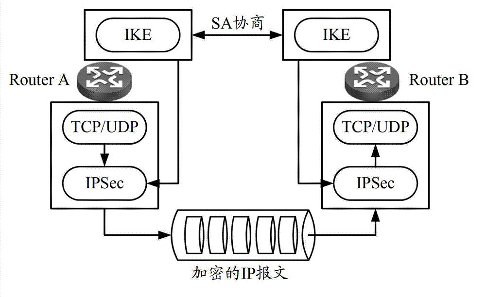 IPSec SA consultation method and device