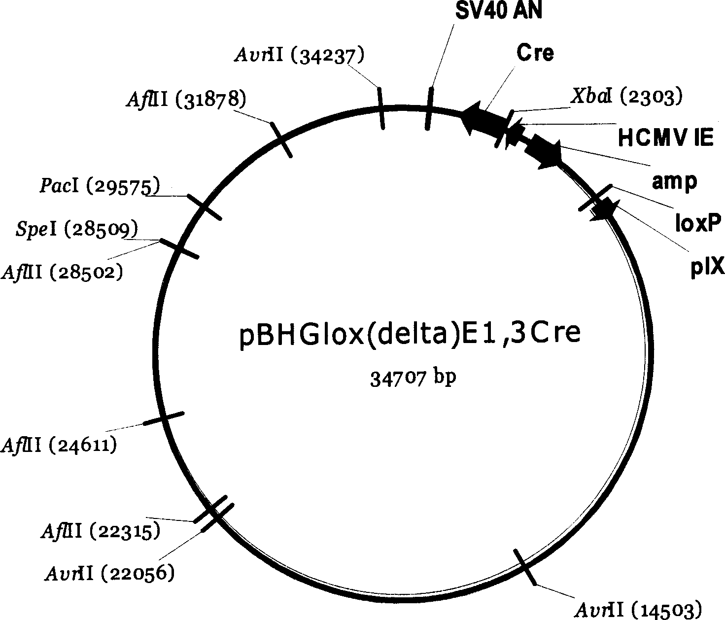 New type recombined plasmid of carrier framework for adenovirus and application