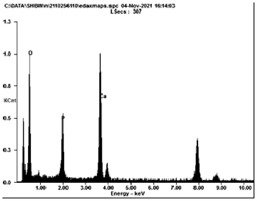 Hydroxyapatite as well as preparation method and application thereof in dark fermentation hydrogen production