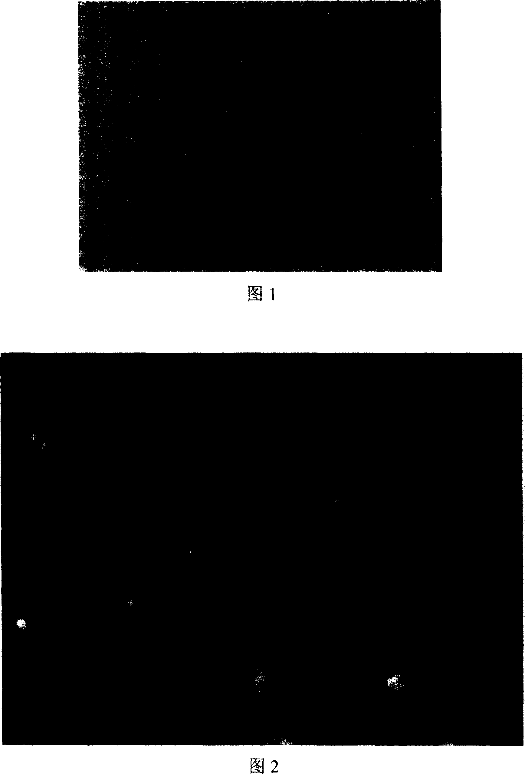 Method of preparing biological high polymer nano selenium composite film