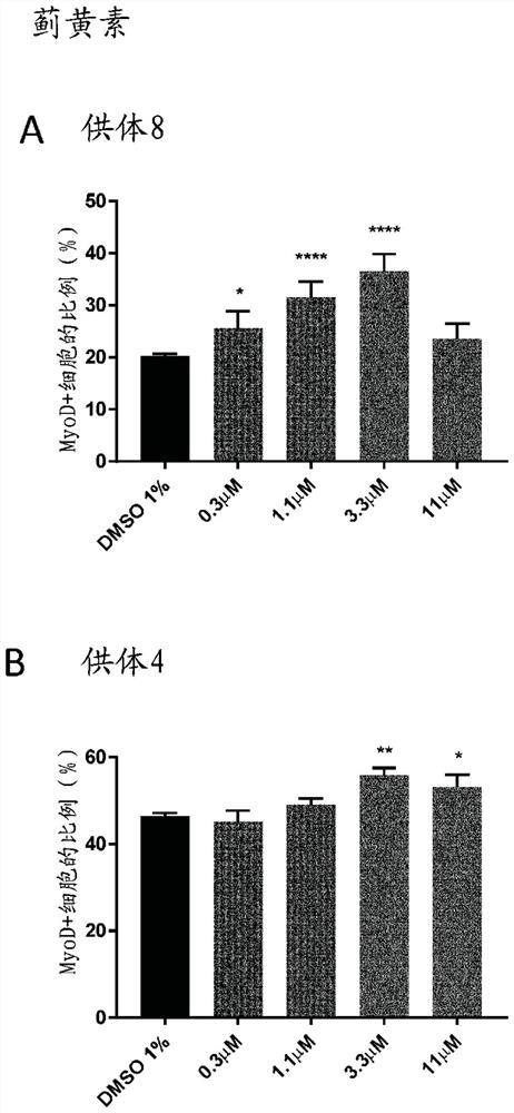 Novel polymethoxyflavone compounds for skeletal muscle modulation, methods and uses thereof