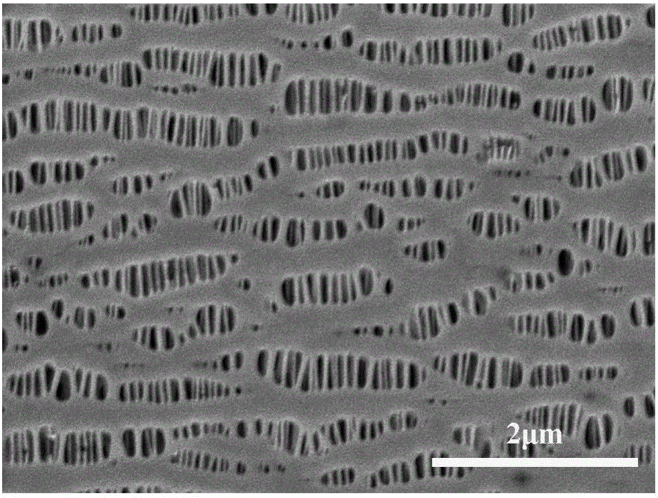 Lithium ion battery diaphragm coating, and preparation method and application thereof