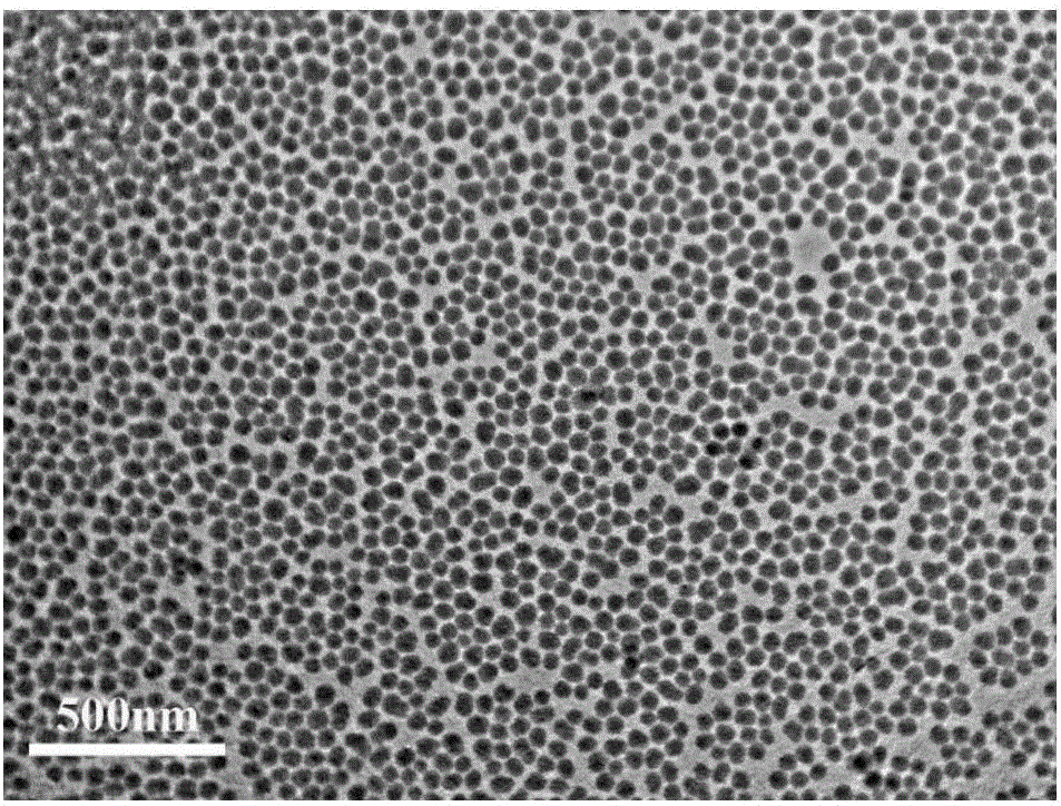 Lithium ion battery diaphragm coating, and preparation method and application thereof