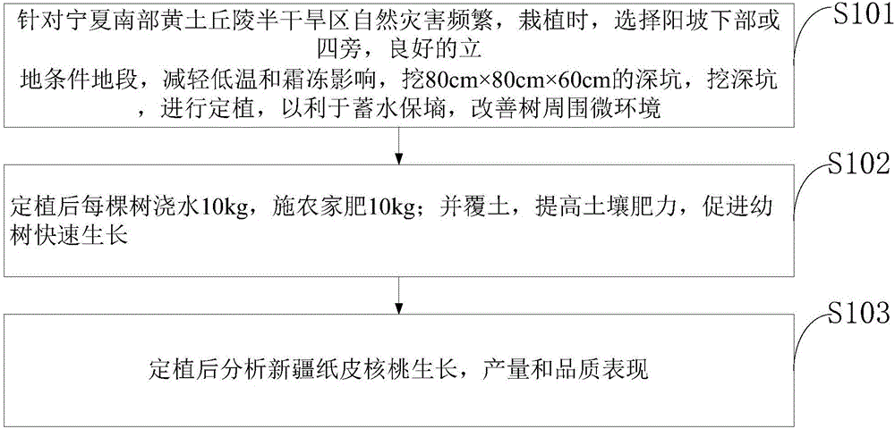 Xinjiang thin-shell walnut variety introducing method and application of Xinjiang thin-shell walnuts