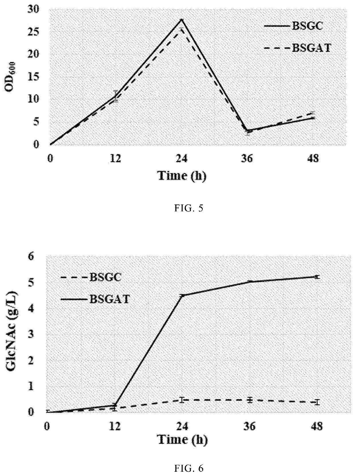 Recombinant <i>Bacillus subtilis </i>and use thereof