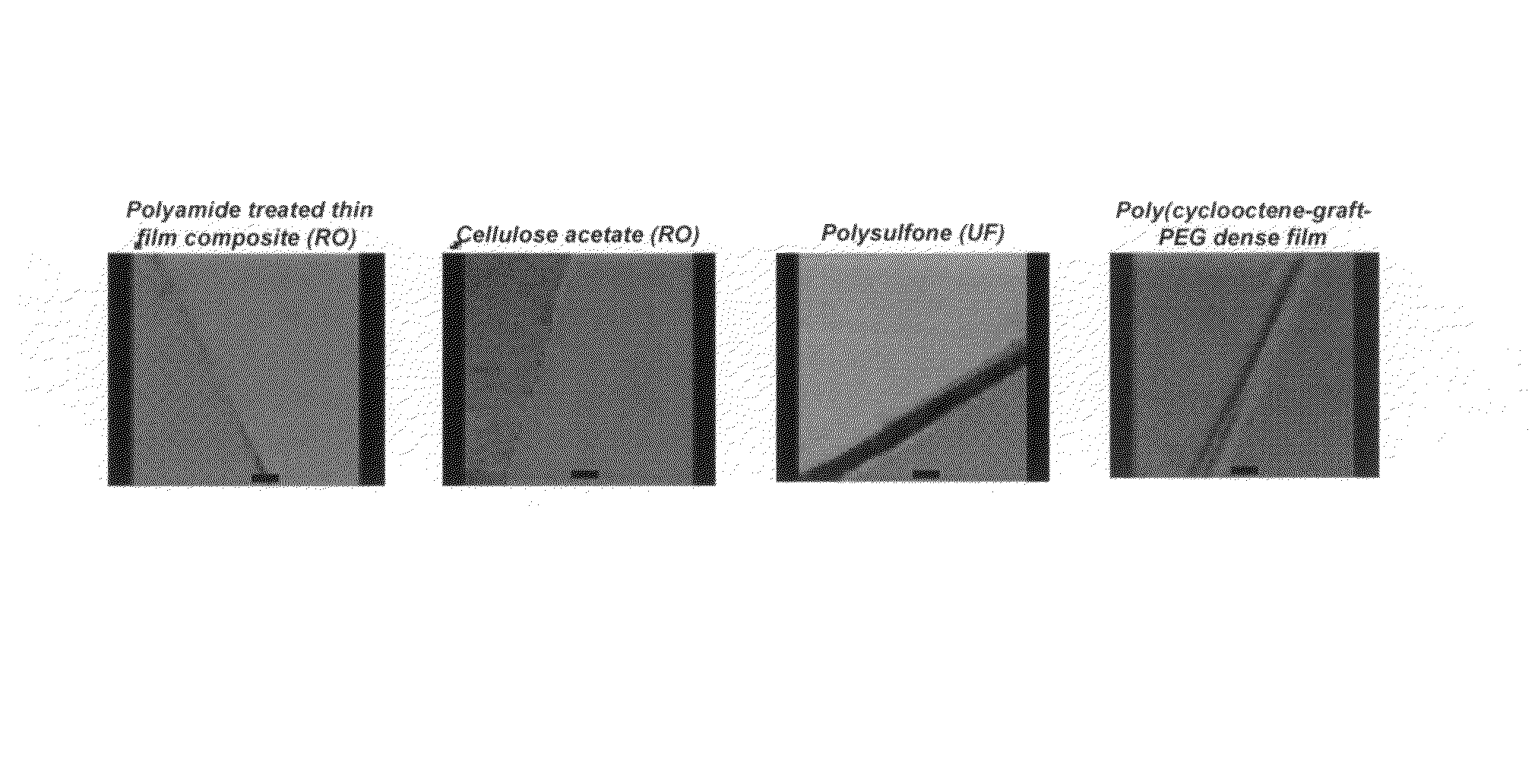 Cyclooctene monomers and polymers, and water purification articles and methods utilizing them