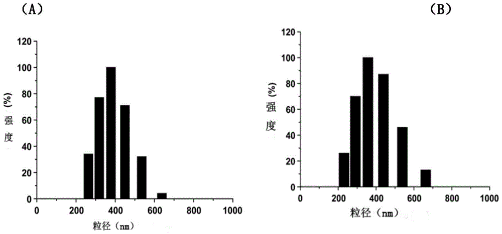 Targeted nanobubble for detecting small cell lung cancer and preparing method and application thereof