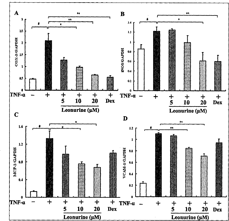 Use of motherwort in the preparation of medicines for preventing and treating inflammation-related diseases