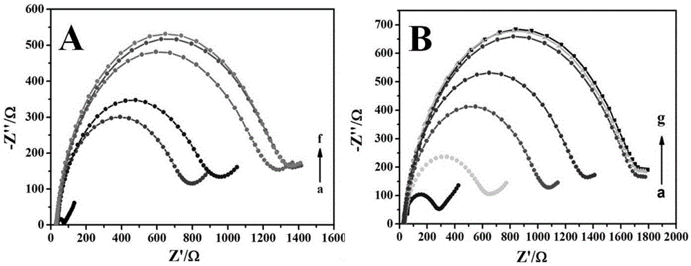 Application of nanogold-carbon nano tube-chitosan composite membrane cell sensor to detection of toxicity of food-borne pathogenic bacteria