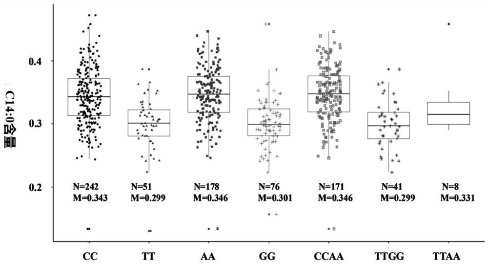 SNP loci for increasing content of fatty acid C14: 0 in chicken and method for breeding high-quality chicken strain