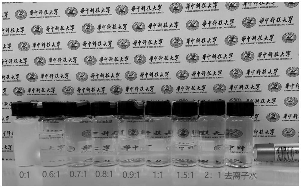 Method for preparing self-stabilized nano zirconium oxide sol by adopting hydrothermal method