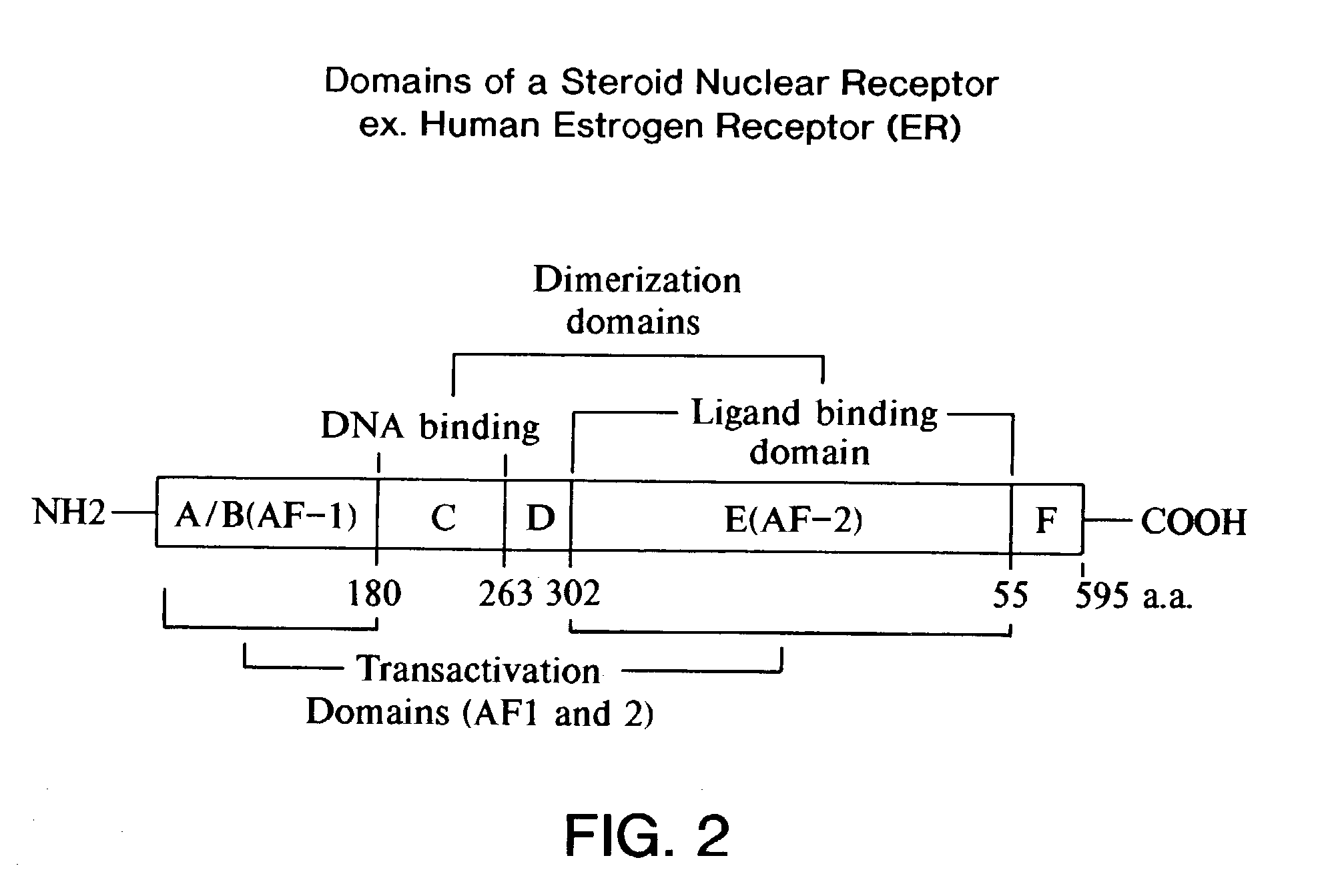 Ligand activated transcriptional regulator proteins