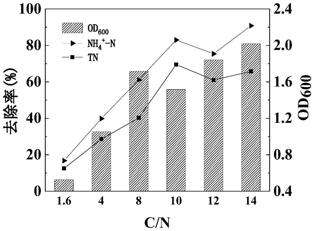 Heterotrophic nitrification-aerobic denitrification bacterium resistant to low carbon and high nitrogen and application thereof