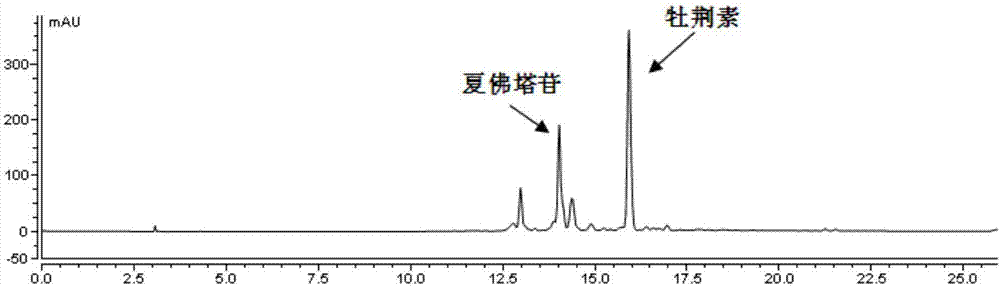 Apio americana medikus leaf flavone extract, preparation method and applications thereof