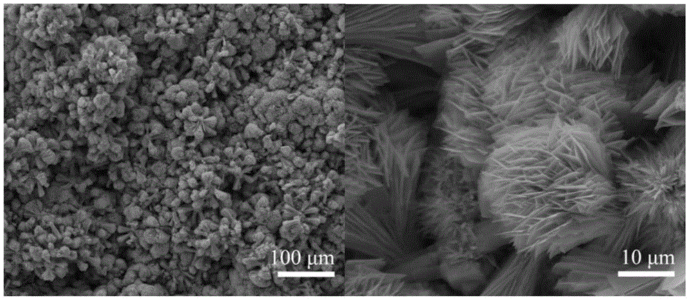 Net film applied to oil-in-water emulsion separation, preparation method and application of net film