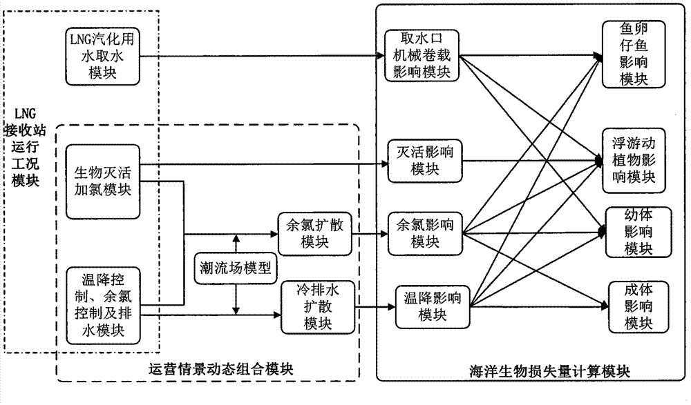 Marine environmental impact prediction method for cold drained water and residual chlorine of coastal LNG (Liquefied Natural Gas) receiving station