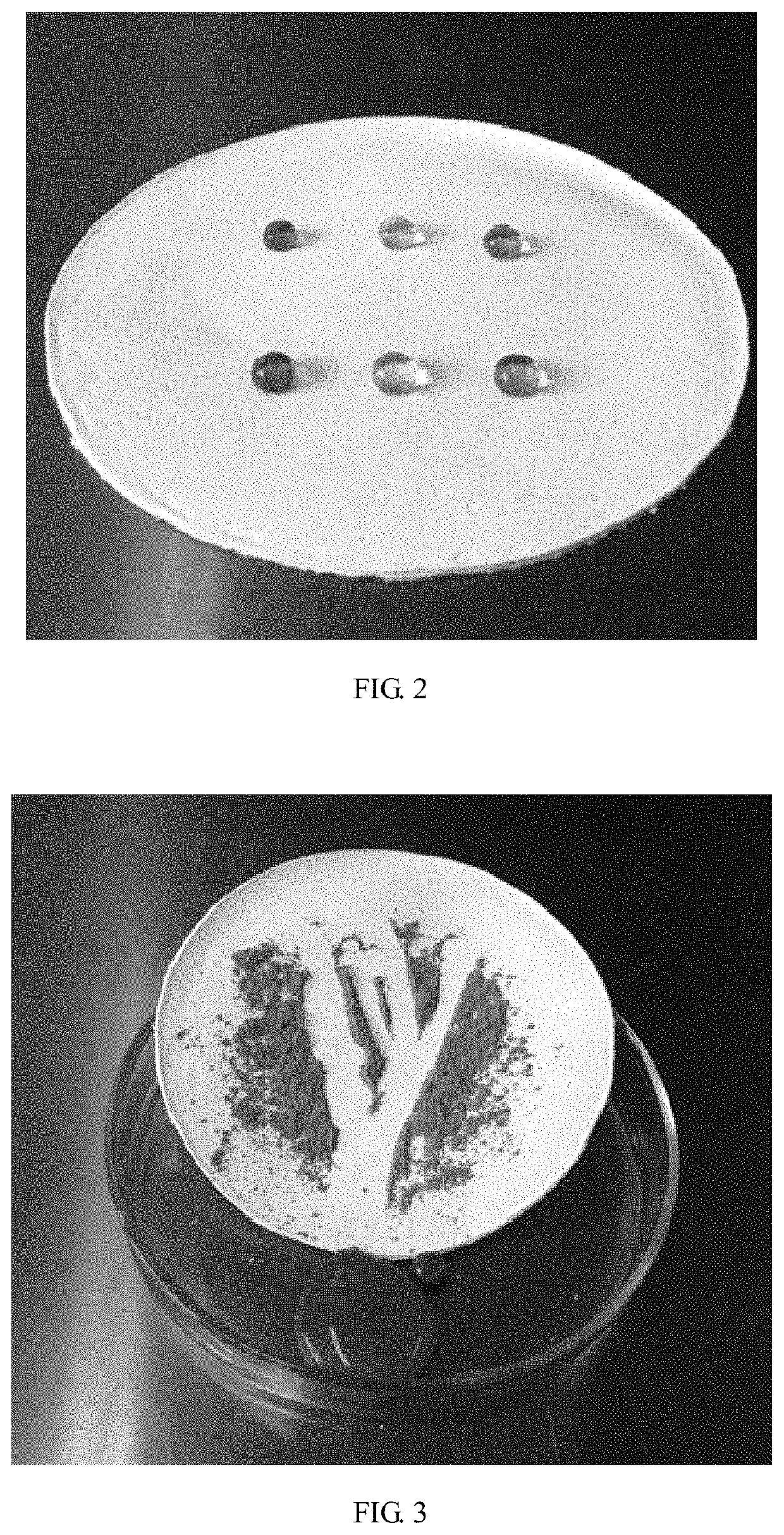 Superhydrophobic and self-cleaning radiative cooling film and preparation method thereof