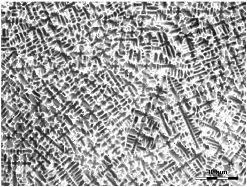 A high-temperature homogenization treatment method for super austenitic stainless steel