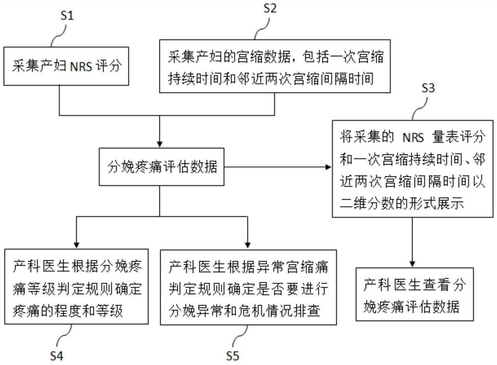 Parturition pain assessment system and method