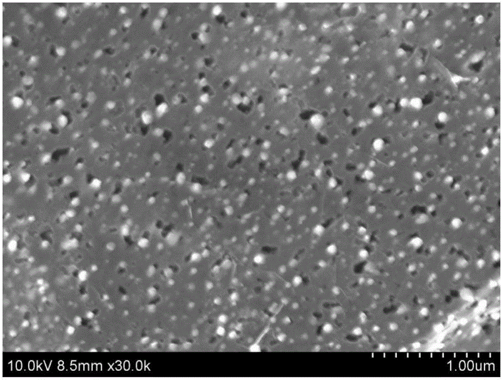 Surface porous graphene material and preparation method thereof