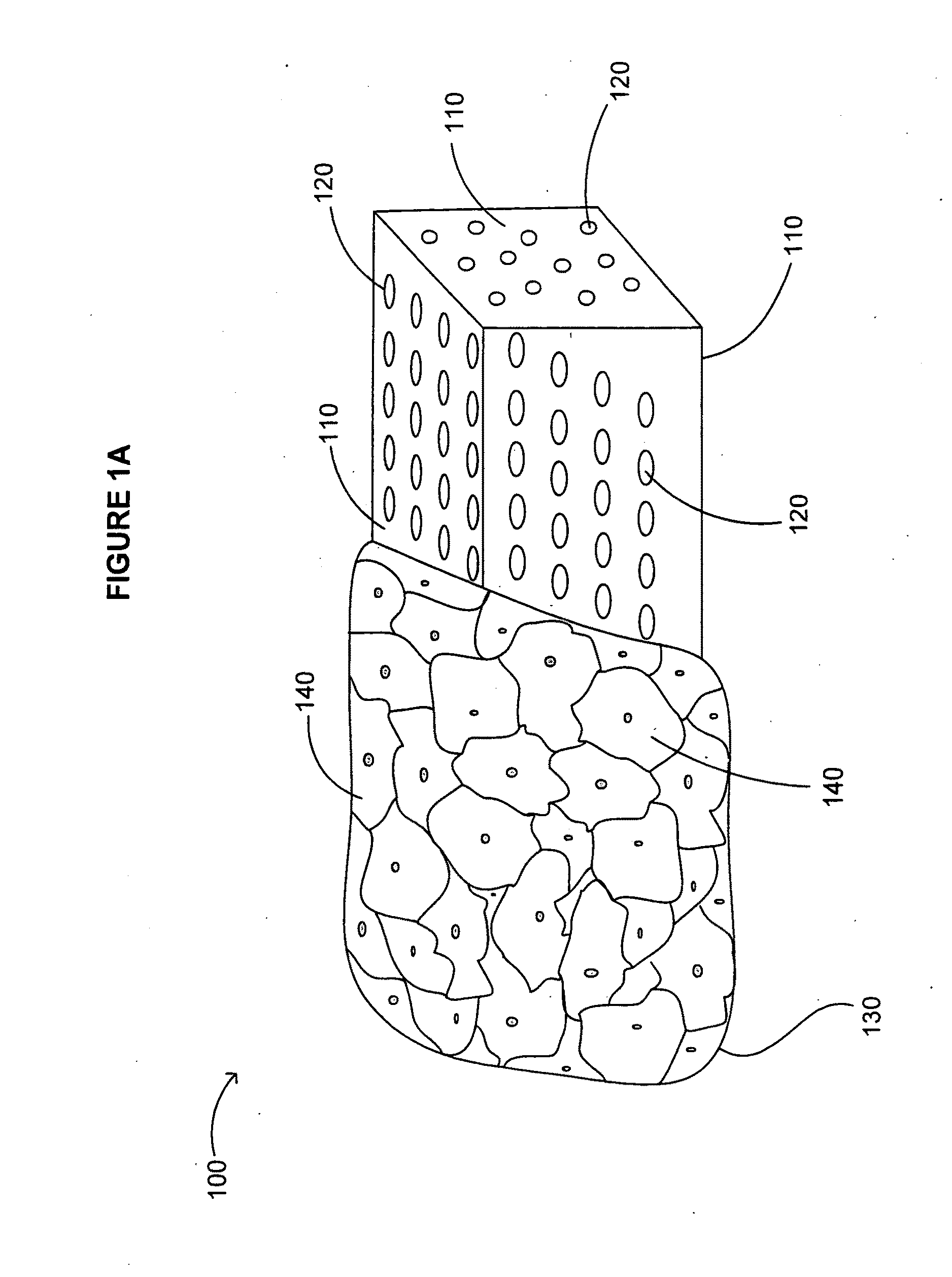 Device including altered microorganisms, and methods and systems of use