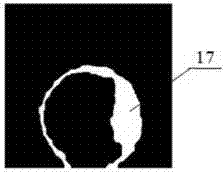 Random weight network partitioning method for blood leukocyte microscopic image