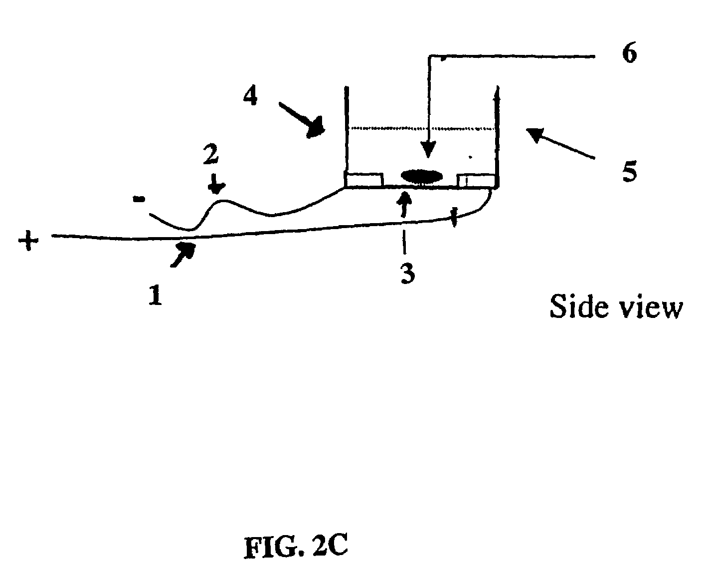 Electrical field stimulation of eukaryotic cells