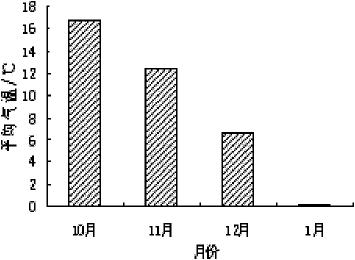 Early evaluating method for tea tree winter resistance