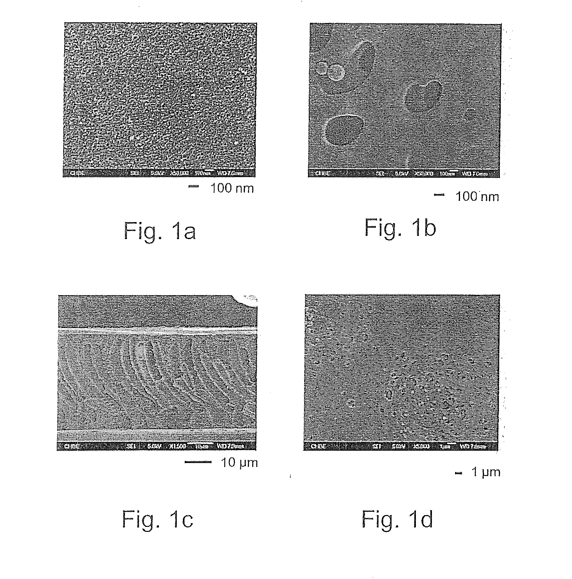 Composite membranes comprising sulfonated polyphenylenesulfone and their use in forward osmosis processes