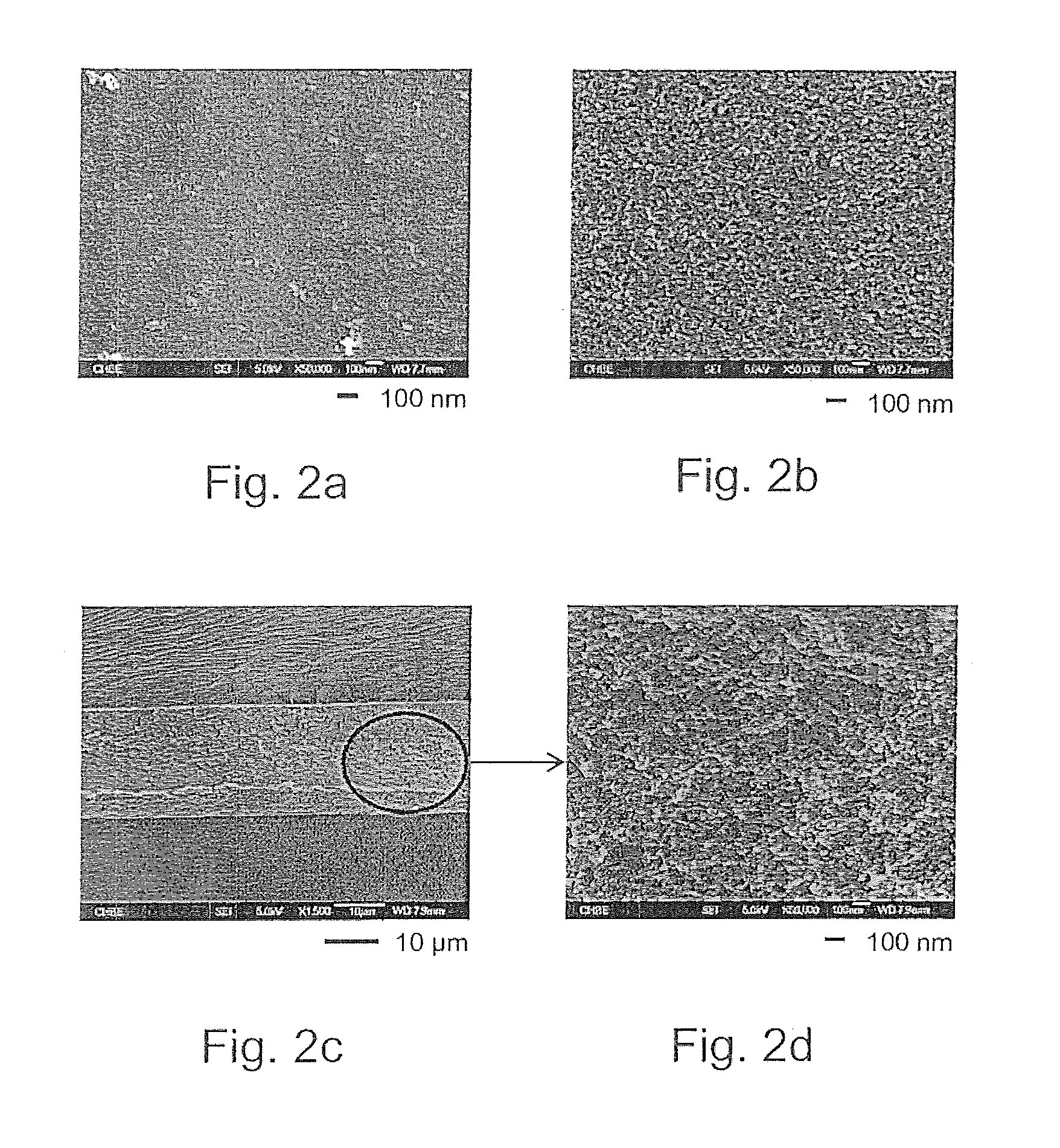 Composite membranes comprising sulfonated polyphenylenesulfone and their use in forward osmosis processes