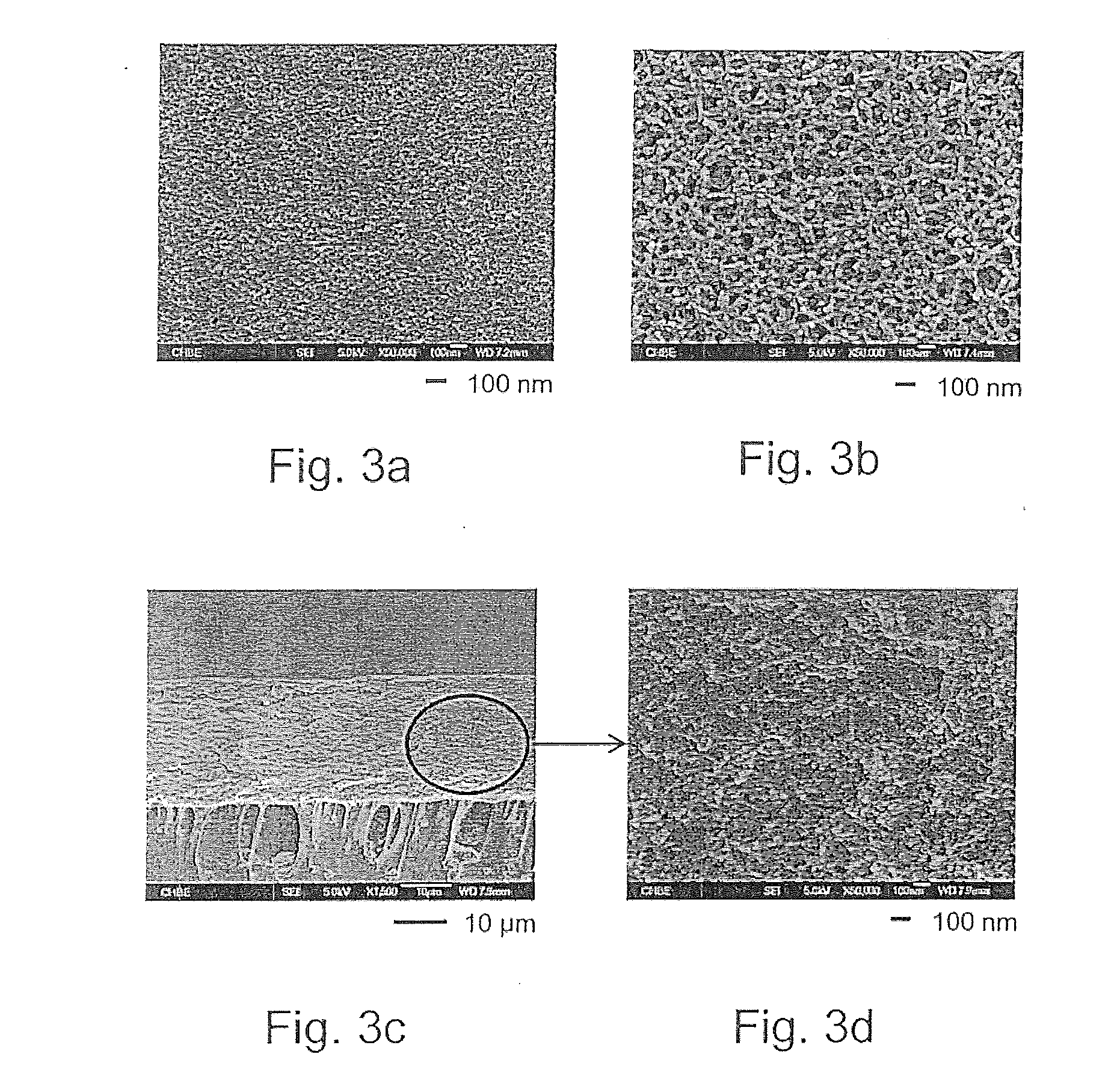 Composite membranes comprising sulfonated polyphenylenesulfone and their use in forward osmosis processes