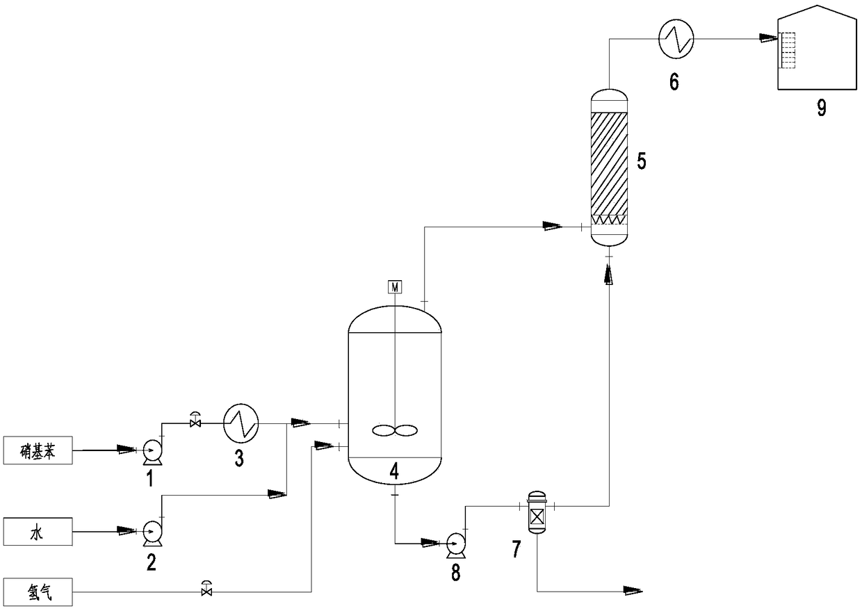 Method for preparing amine type products by hydrogenating nitro-compound