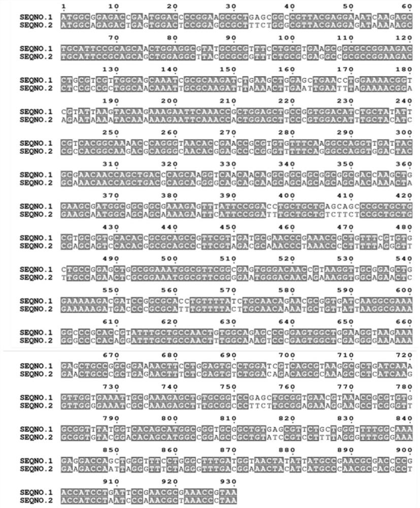 Biological preparation method of mannitol